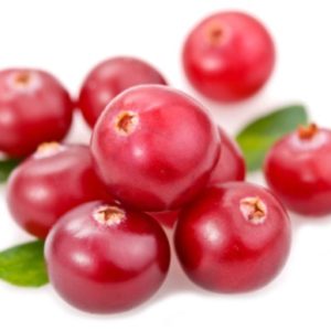 CRANBERRIES AMERICANI