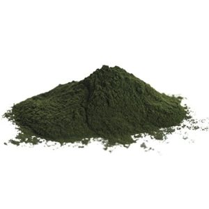 CHLORELLA IN POLVERE