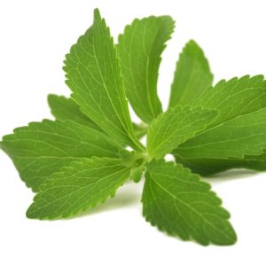 STEVIA VERDE (IN POLVERE)