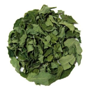 MORINGA OLEIFERA (FOGLIE)