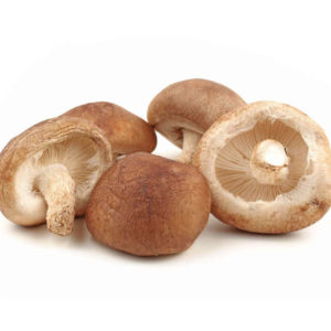 il fungo shiitake fresco