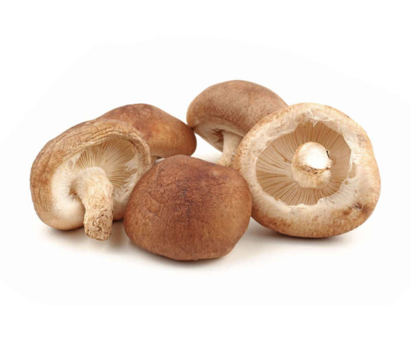 il fungo shiitake fresco